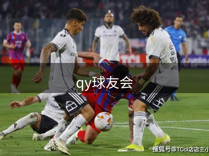 企业实力